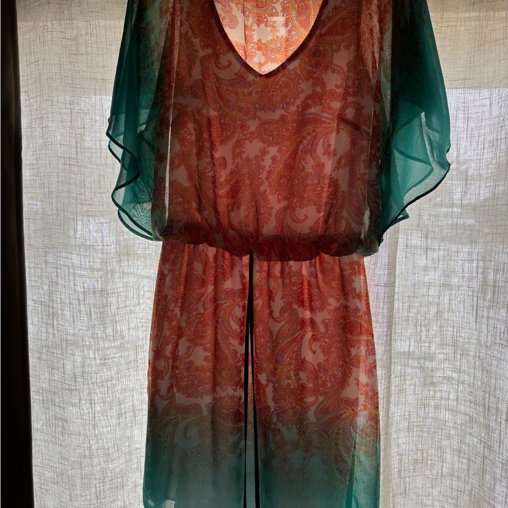 Bisou Bisou Vibrant Paisley Dress